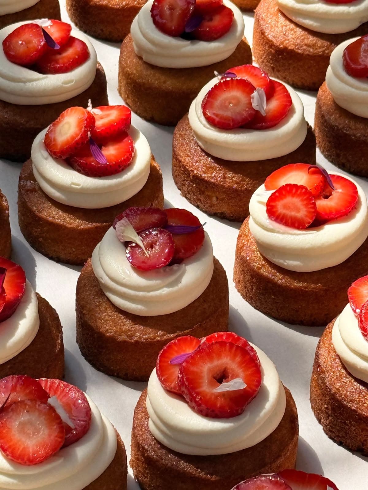 Strawberry Shortcake Petite Cake
